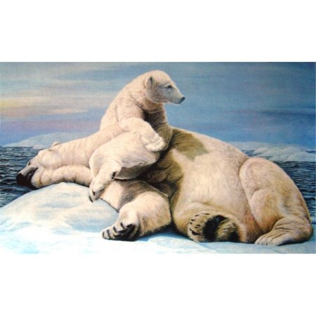 H2H Polar Bears Doormat Rug, Silver - 18 x 30 in. H22548332